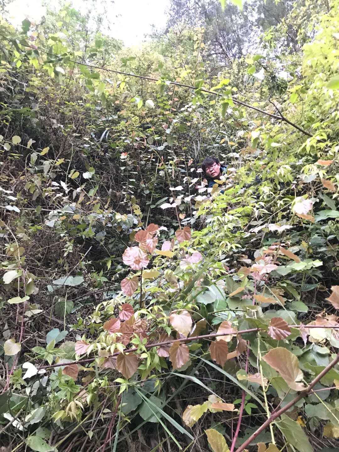 jdb电子·(中国)游戏官网
